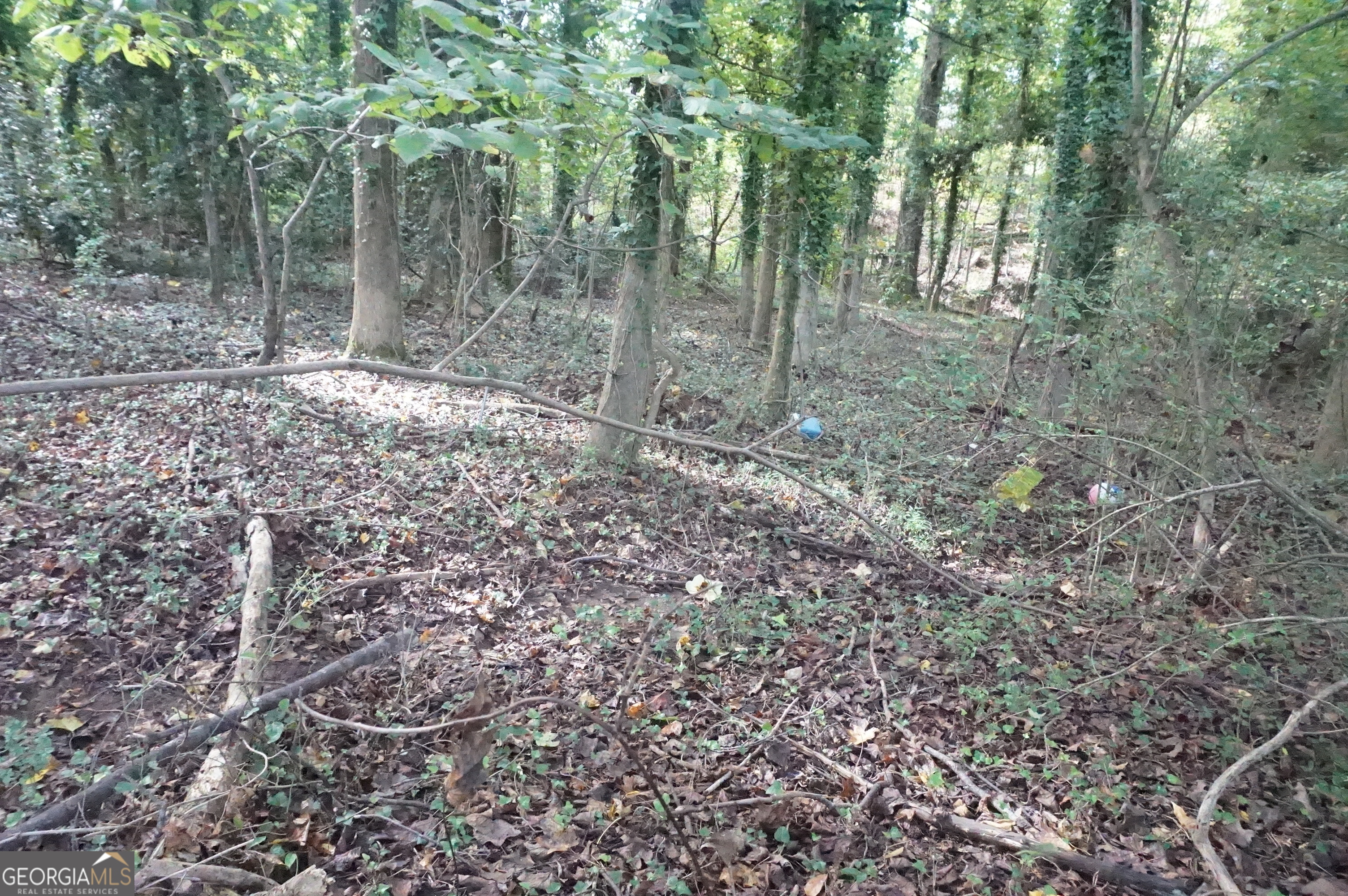 Lot 6 Pine Valley Drive Property Photo 15