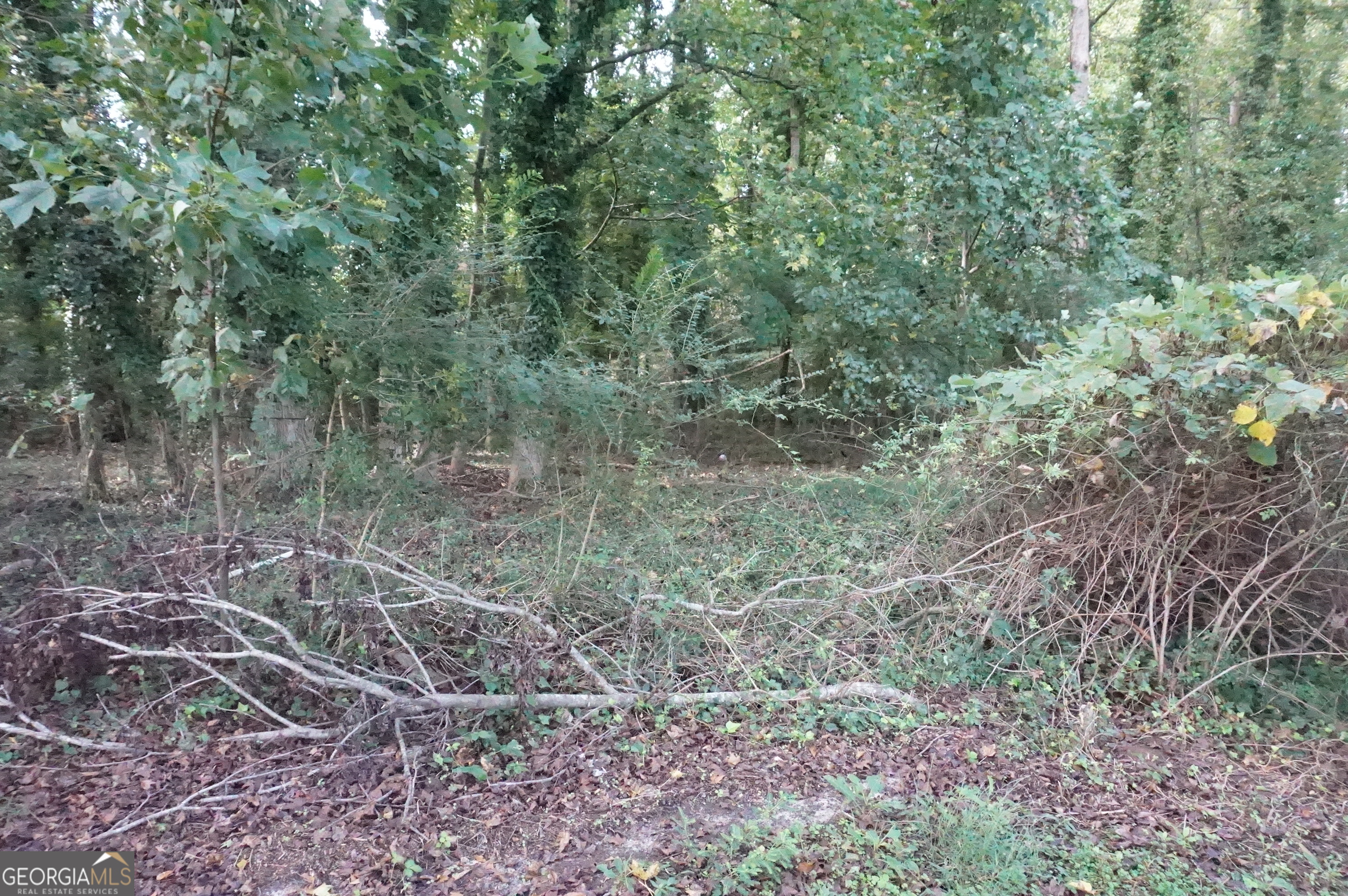 Lot 6 Pine Valley Drive Property Photo 16