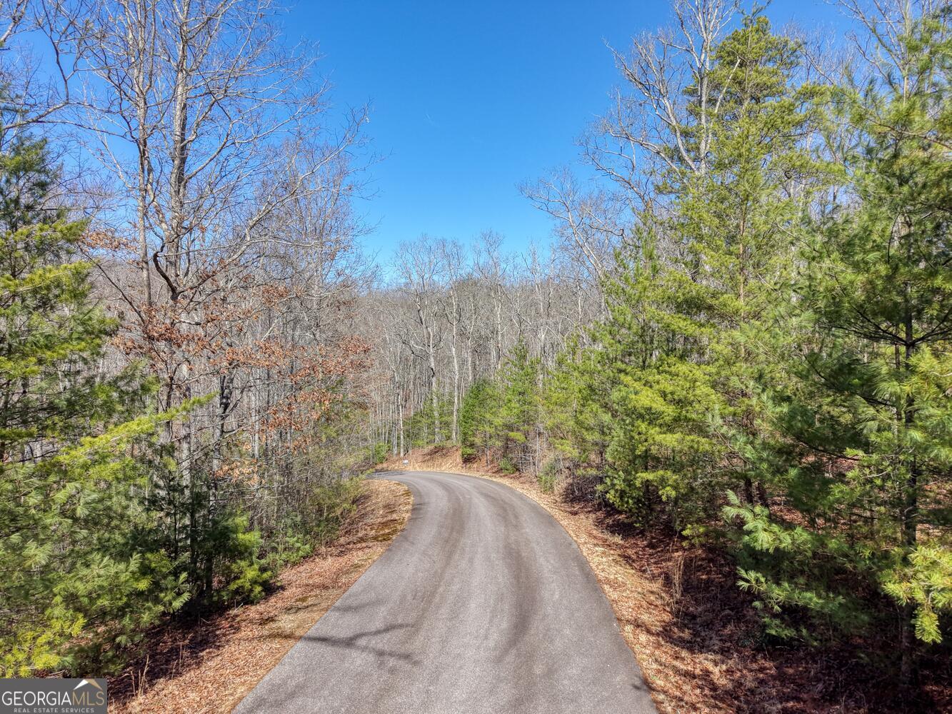 LOT 40 Lola Mae Way Property Photo 1