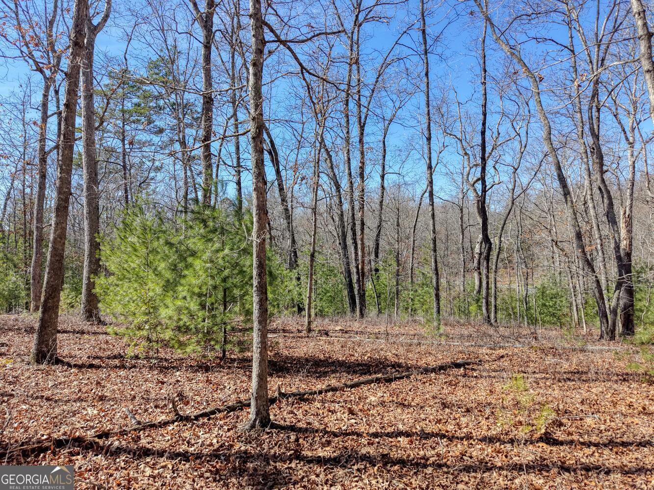 Lot 40 Lola Mae Way Property Photo 2