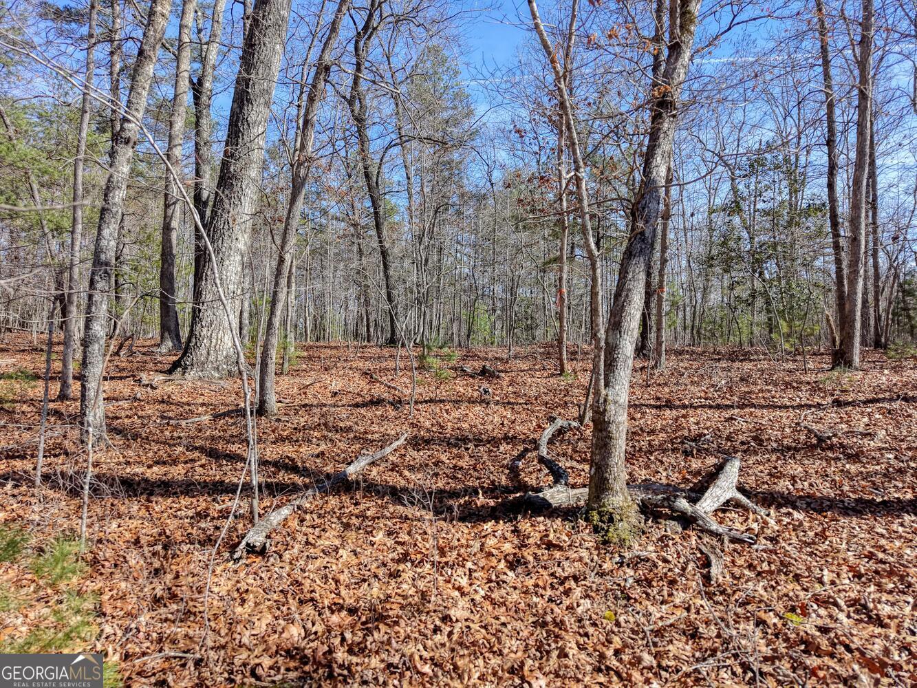 Lot 40 Lola Mae Way Property Photo 3