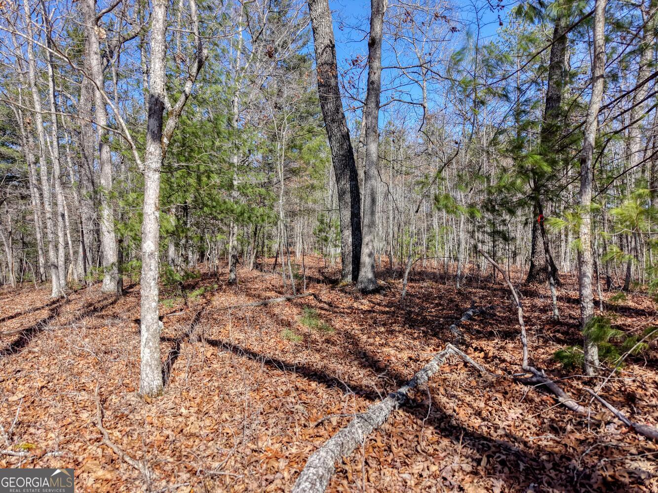 Lot 40 Lola Mae Way Property Photo 14