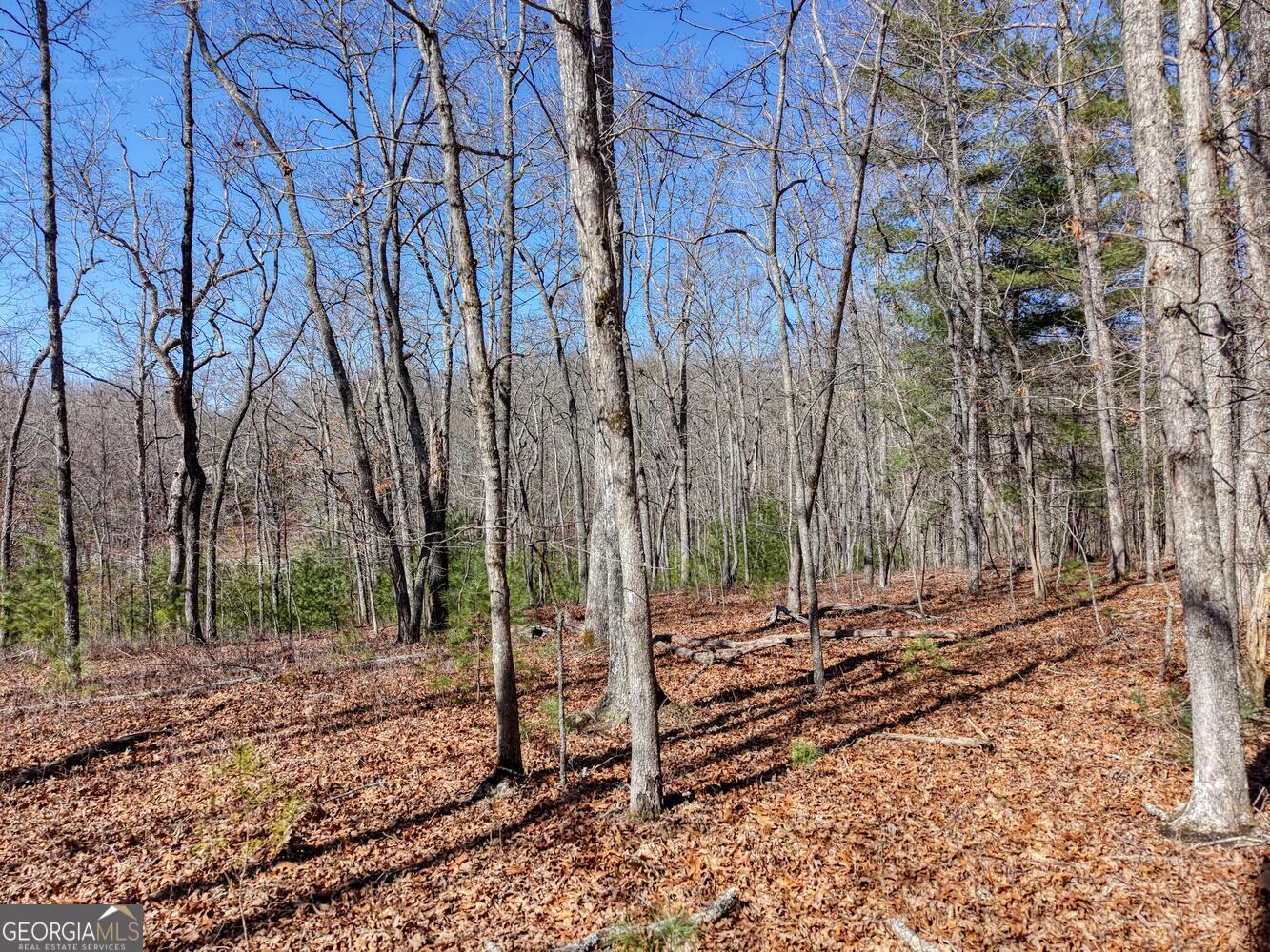 Lot 40 Lola Mae Way Property Photo 15