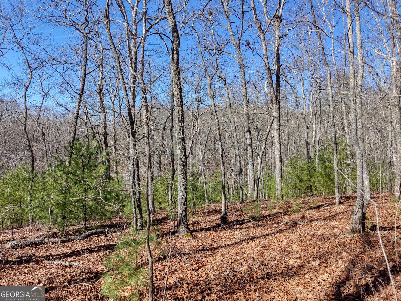 Lot 40 Lola Mae Way Property Photo 16