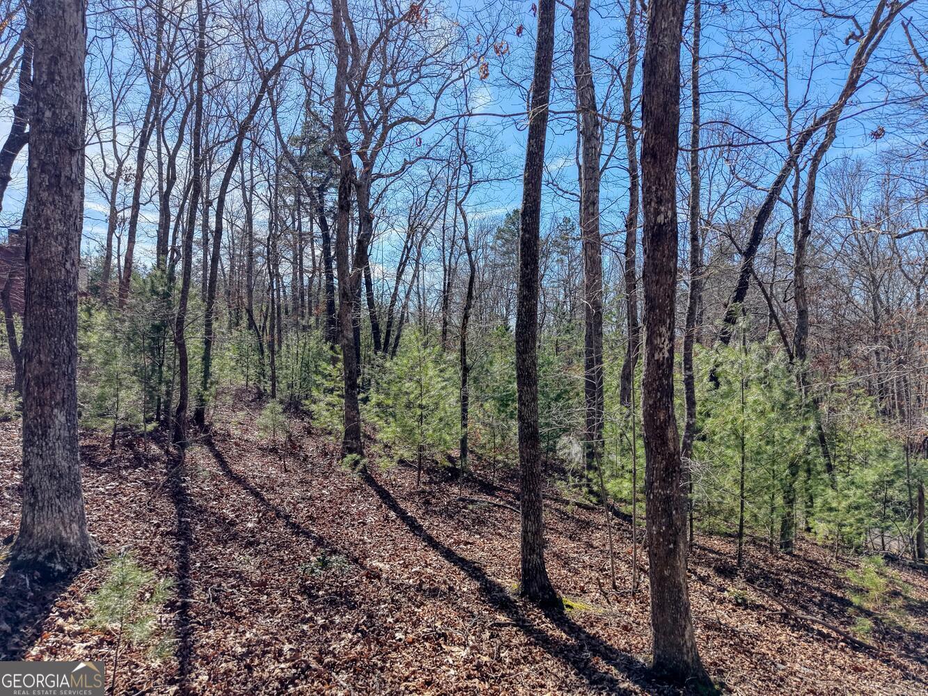 Lot 40 Lola Mae Way Property Photo 17