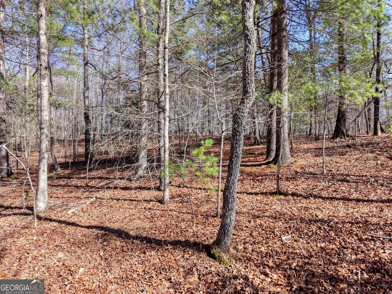Lot 40 Lola Mae Way Property Photo 18