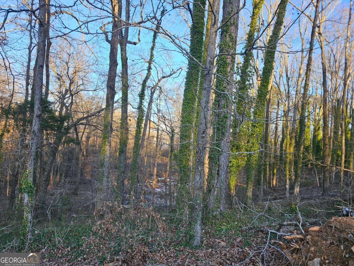 3060 Highway 20 Se Property Photo 1