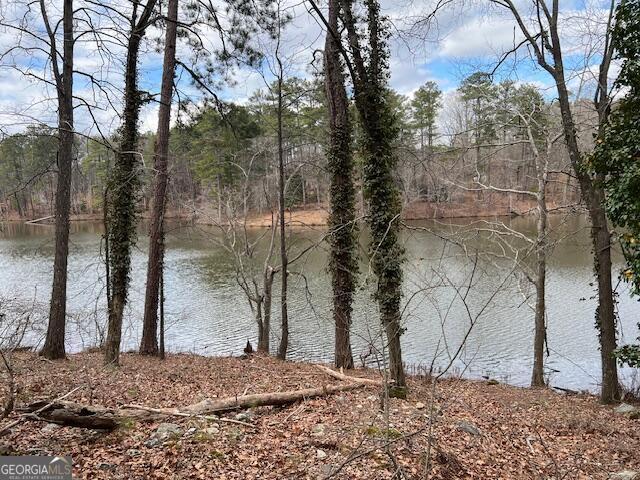 0 Lower Dixie Lake Road