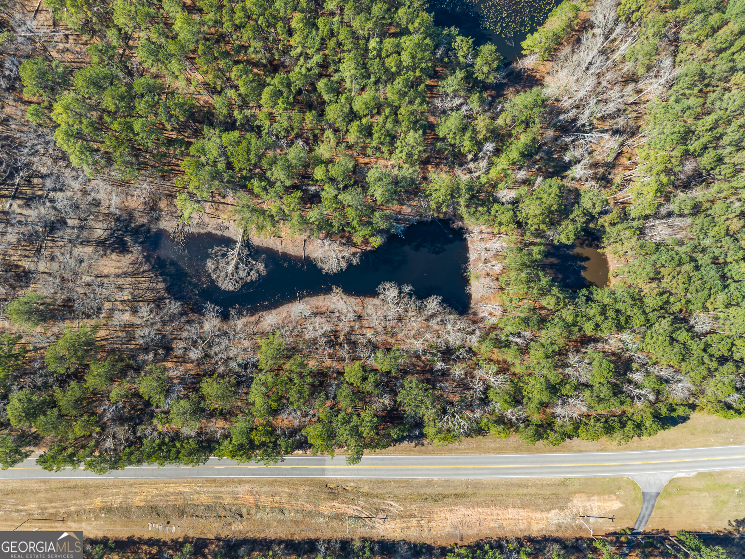 22701 S Highway 129 Property Photo 5