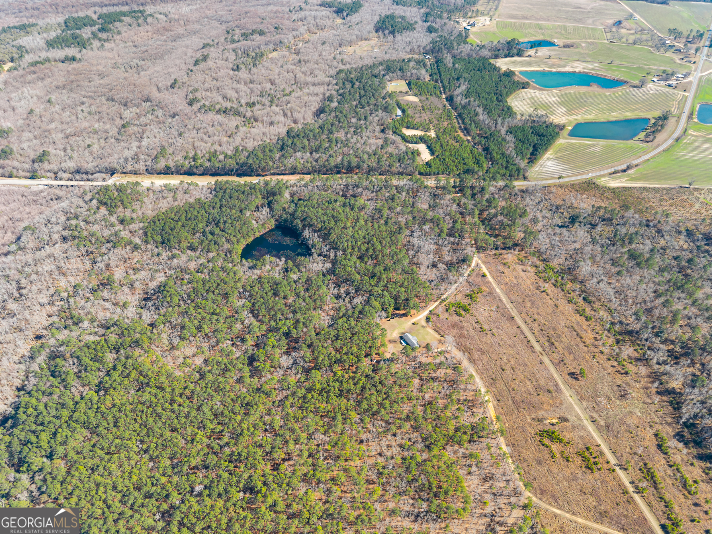 22701 S Highway 129 Property Photo 8