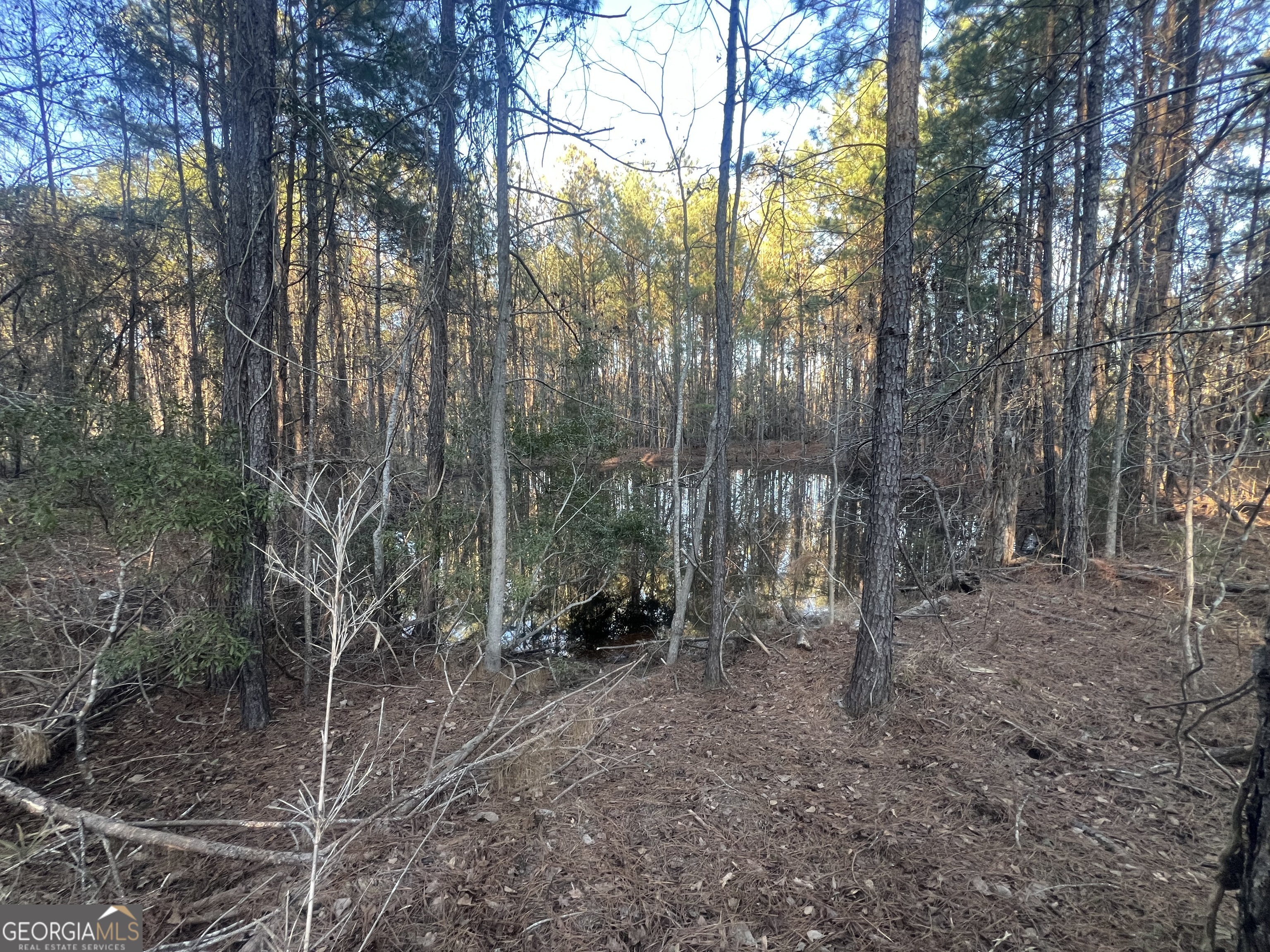 22701 S Highway 129 Property Photo 12