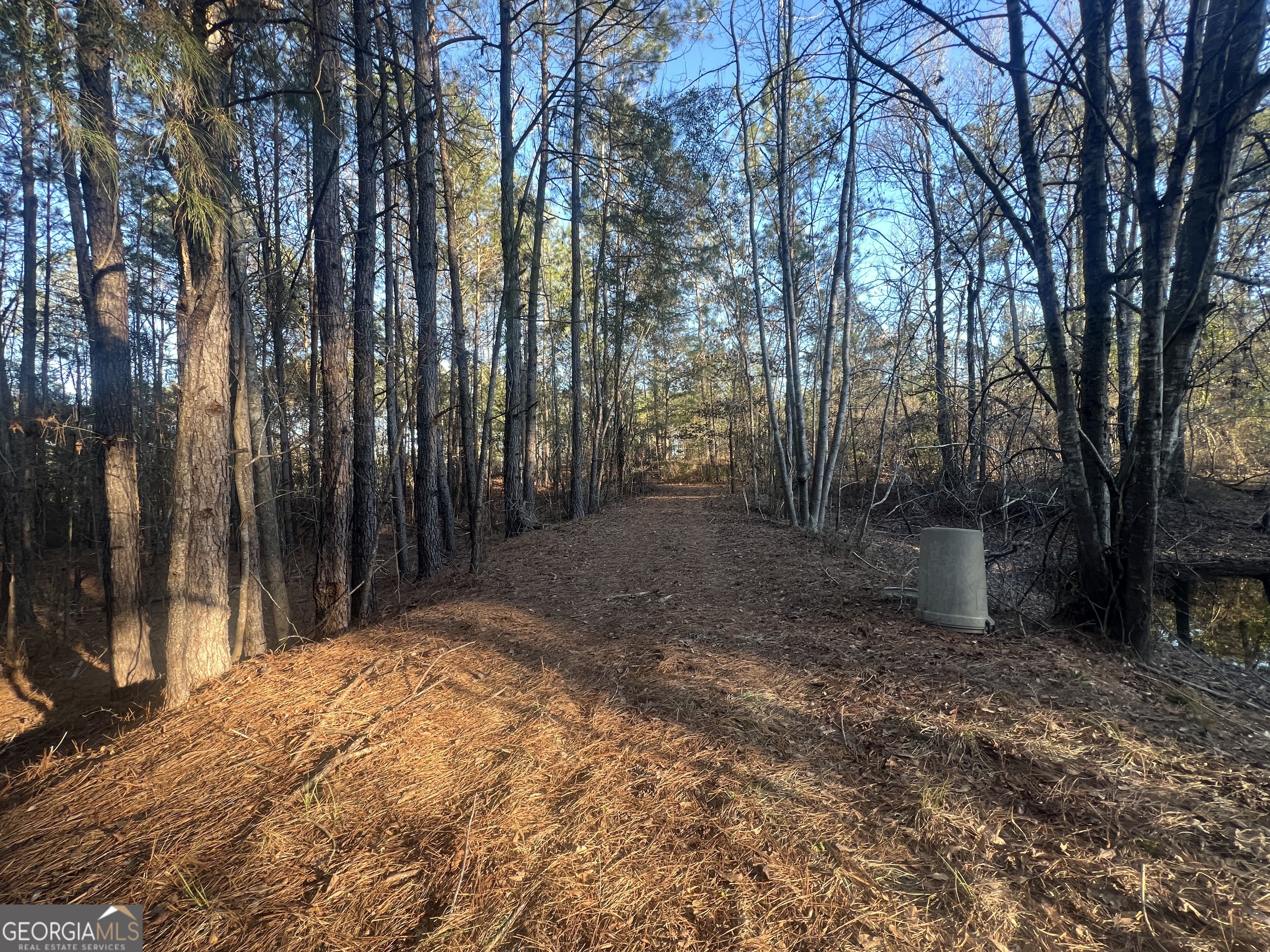 22701 S Highway 129 Property Photo 15