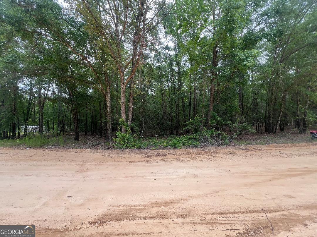 Lot 26 Lane Road Property Photo 1