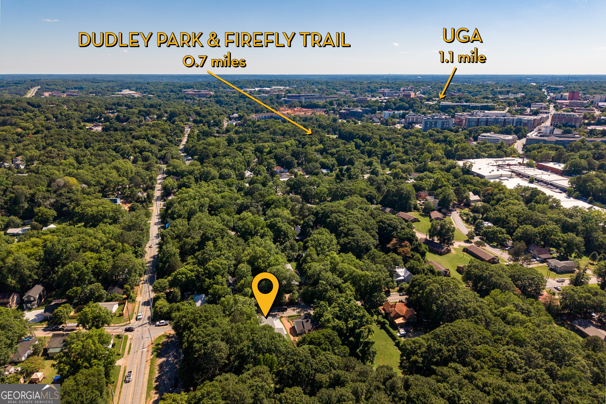 169 Vine Street Property Photo 4