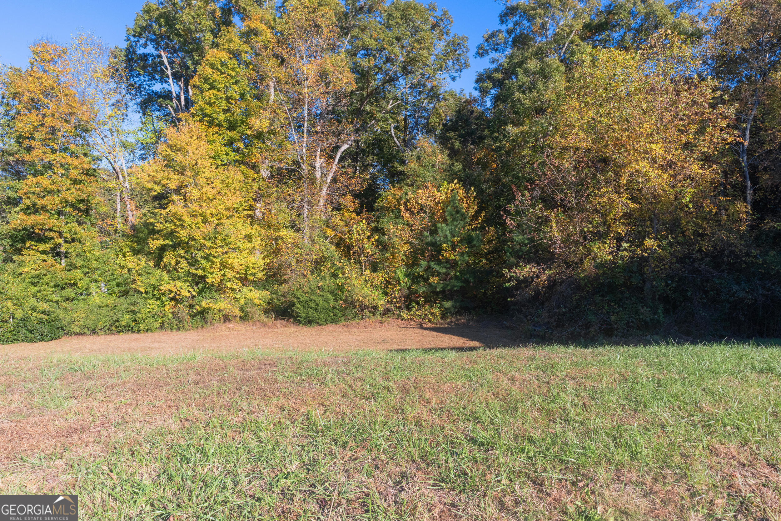 148 Village Drive Property Photo 4