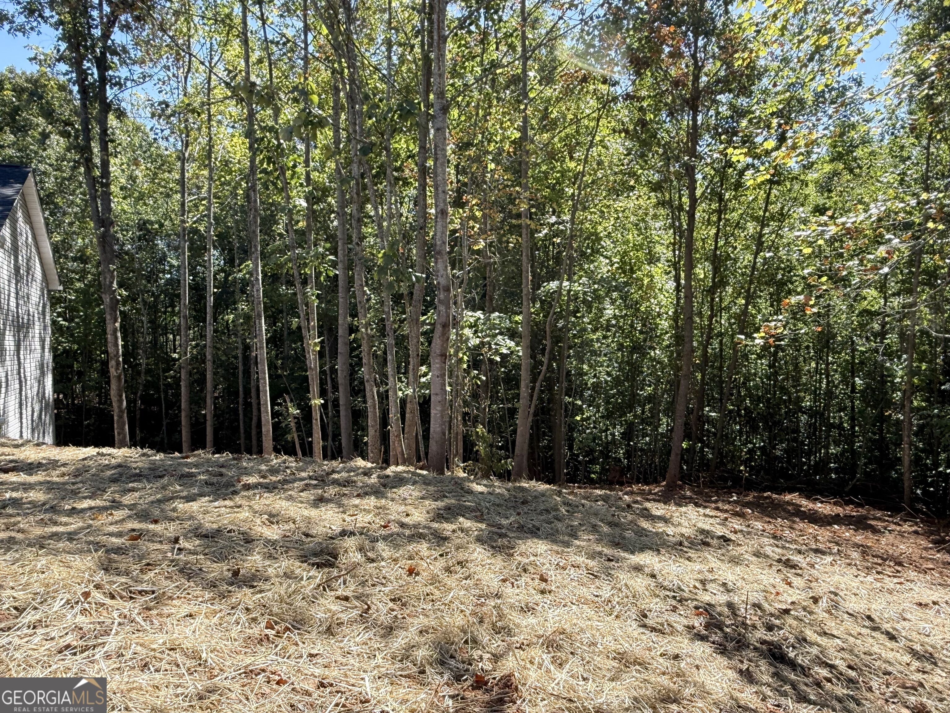 569 Day Star Lane Property Photo 3