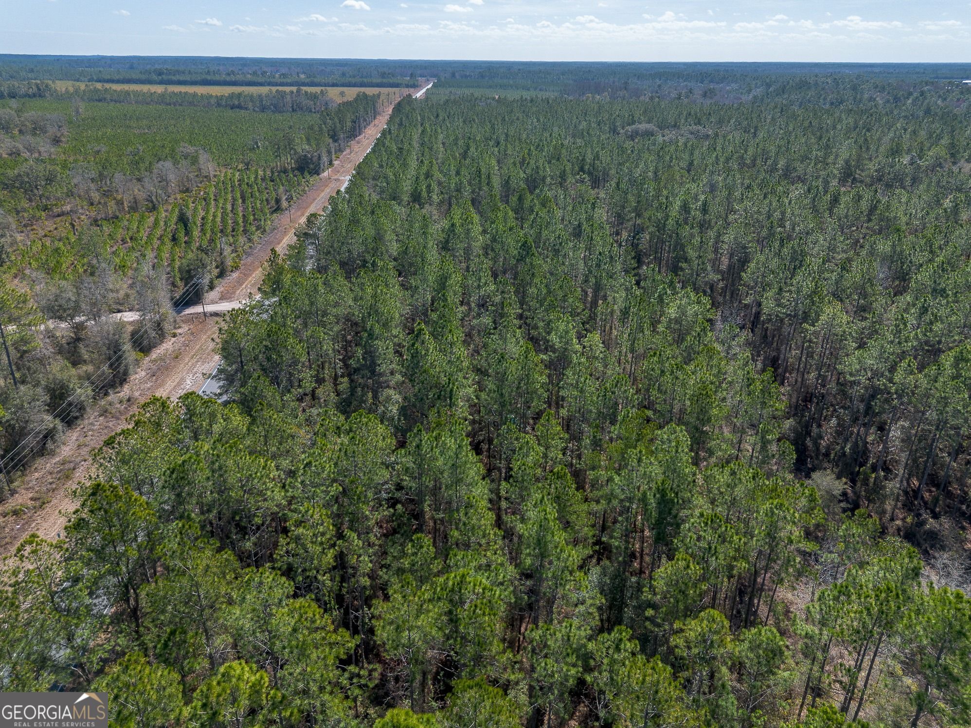 12321 Highway 185 Property Photo 18
