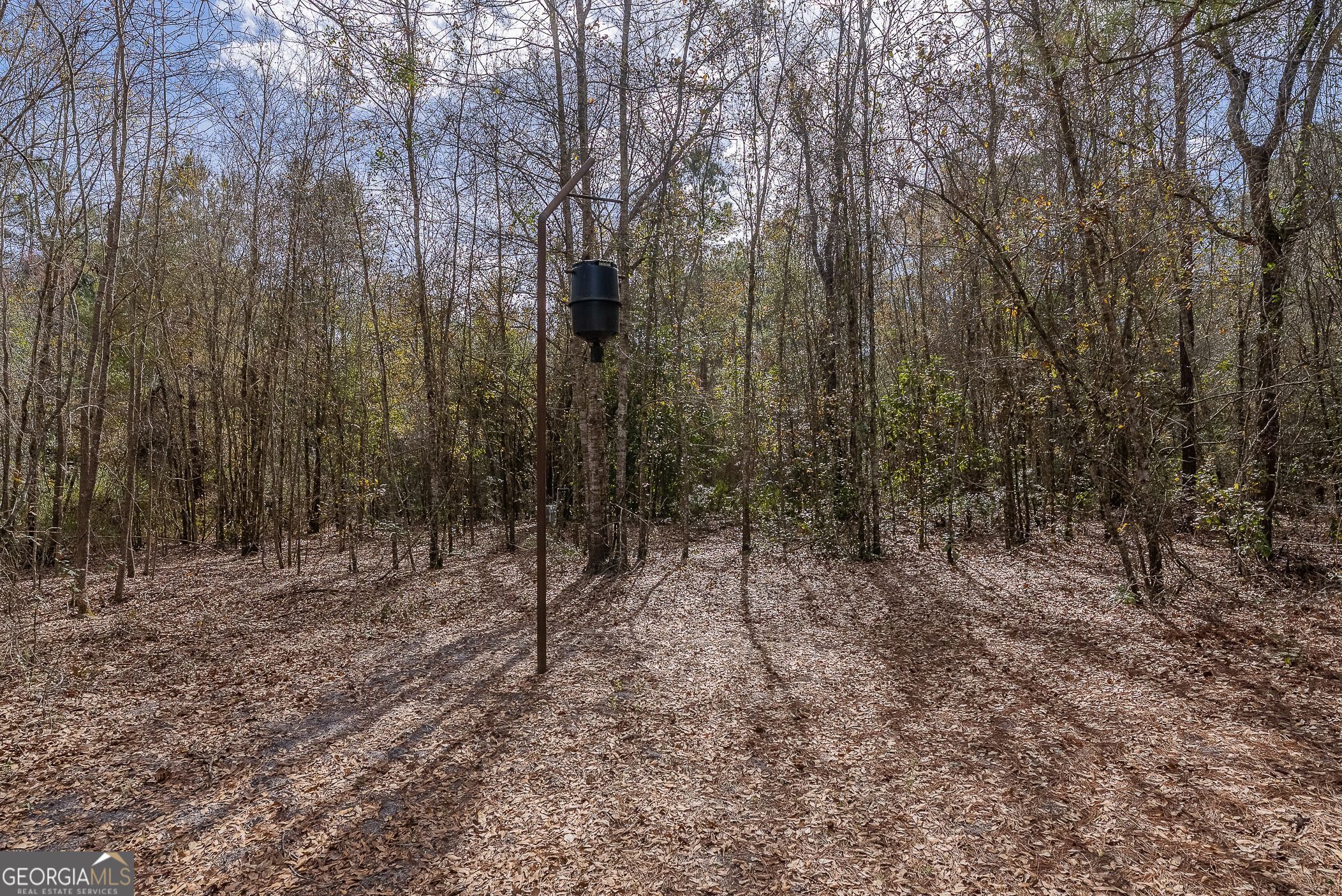 12321 Highway 185 Property Photo 21