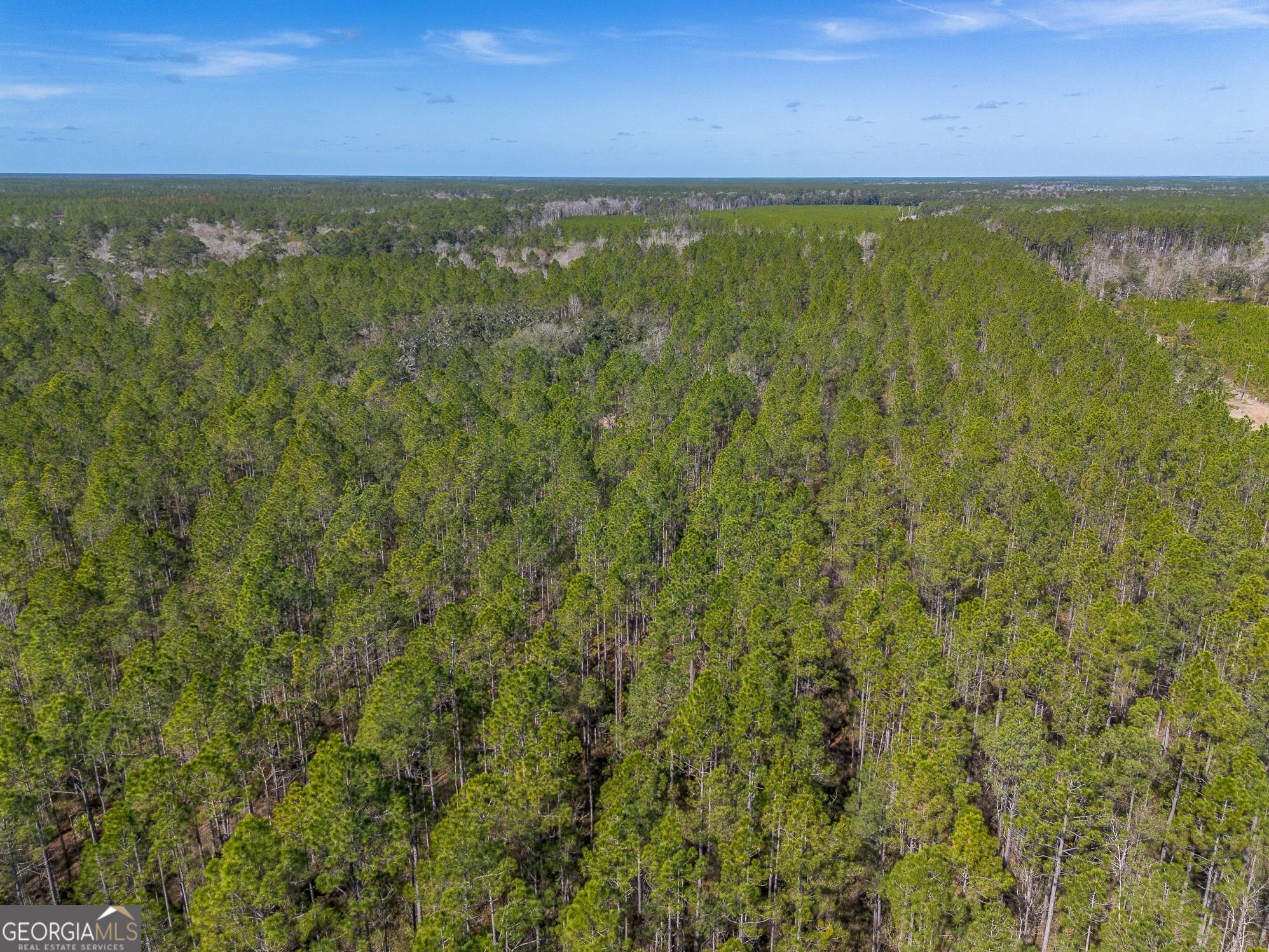 12321 Highway 185 Property Photo 46