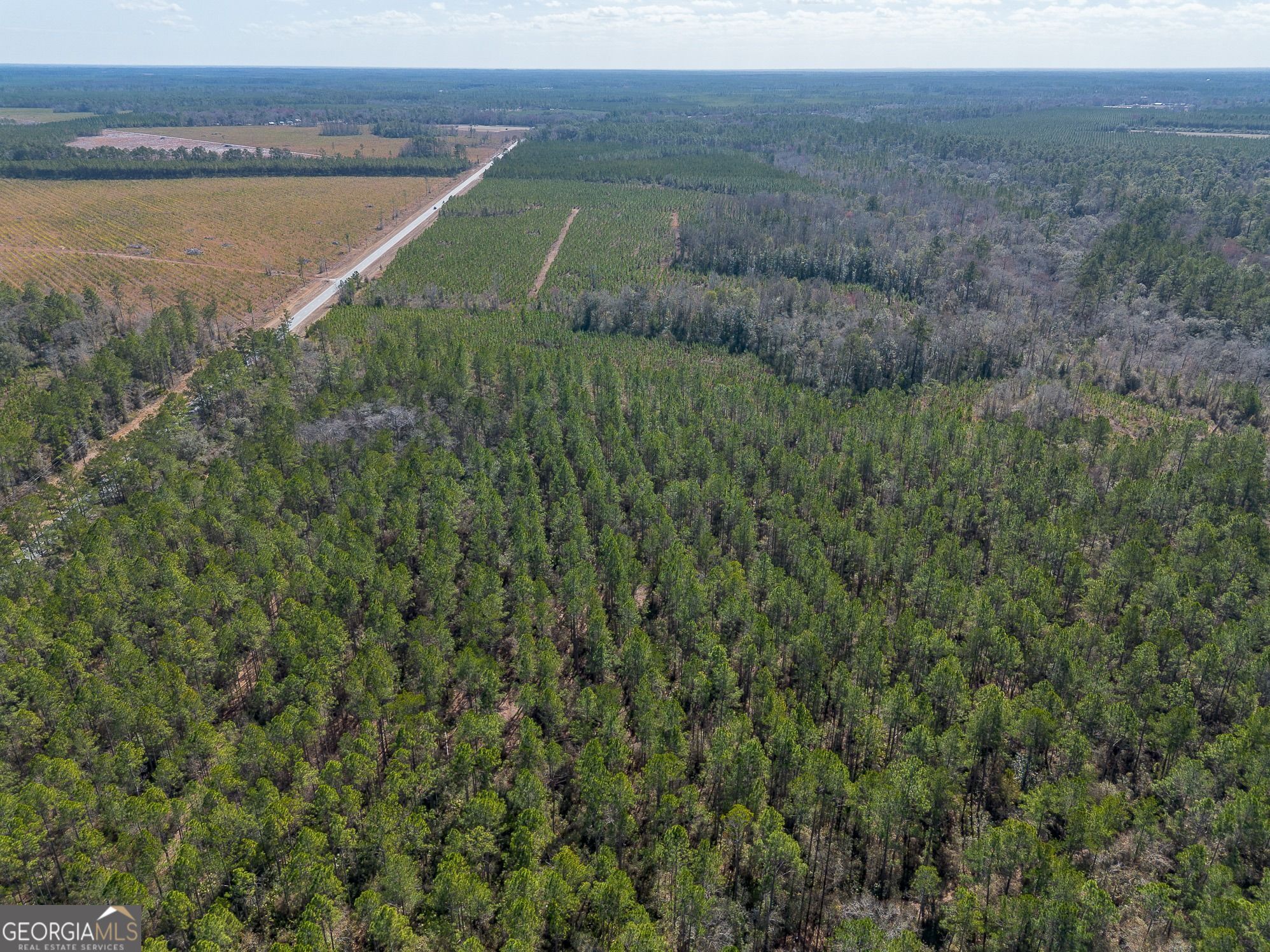 12321 Highway 185 Property Photo 47
