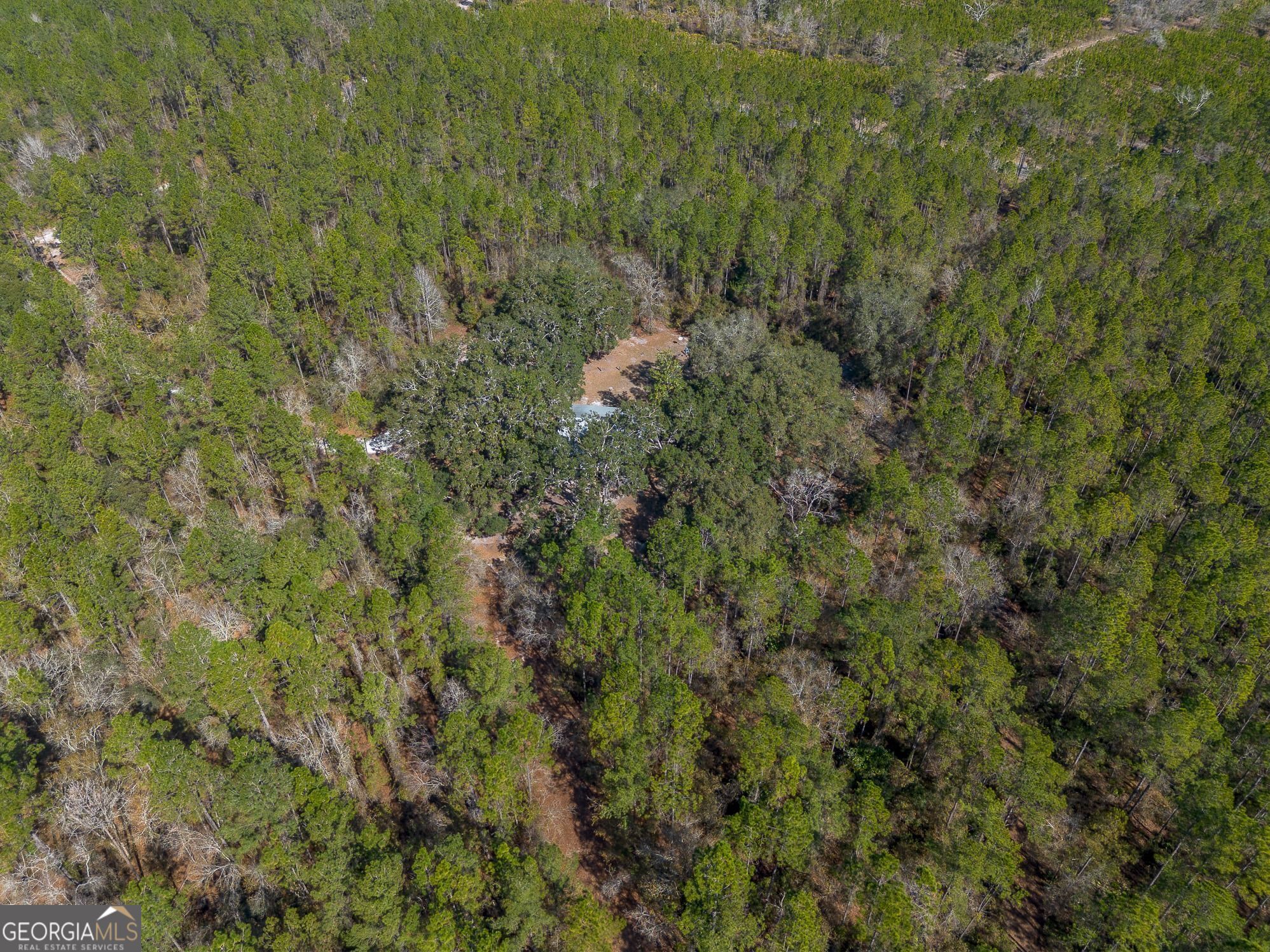 12321 Highway 185 Property Photo 48