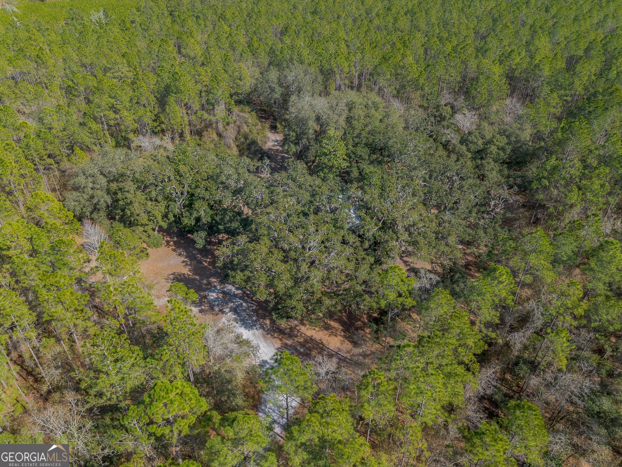 12321 Highway 185 Property Photo 49