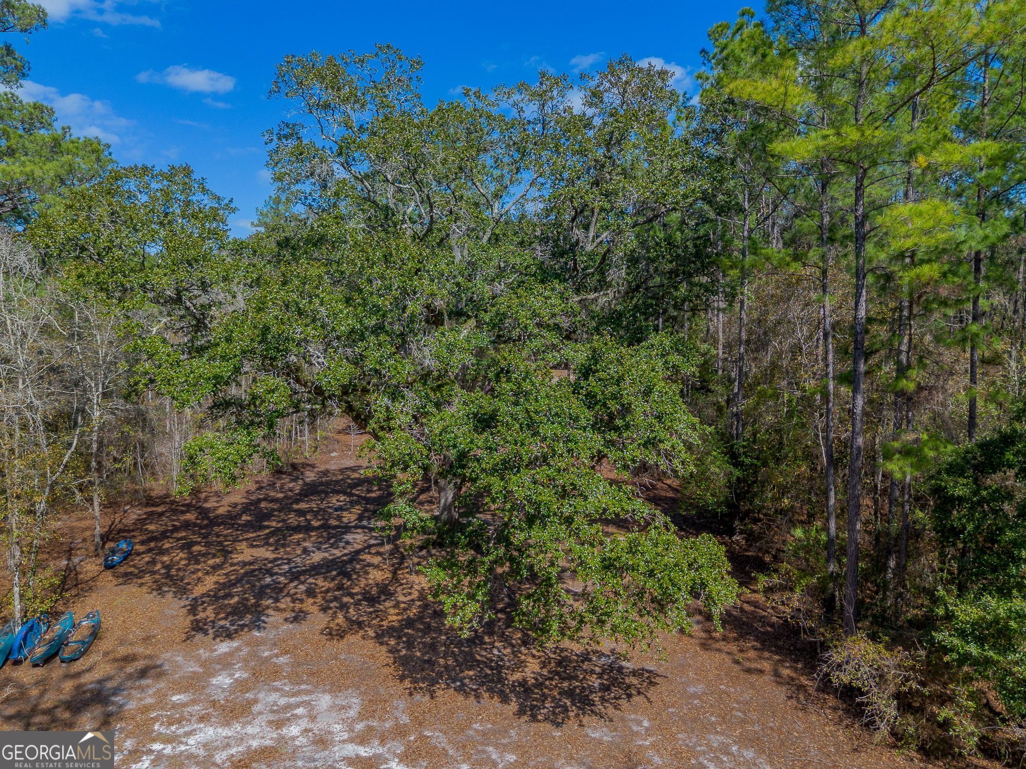12321 Highway 185 Property Photo 52