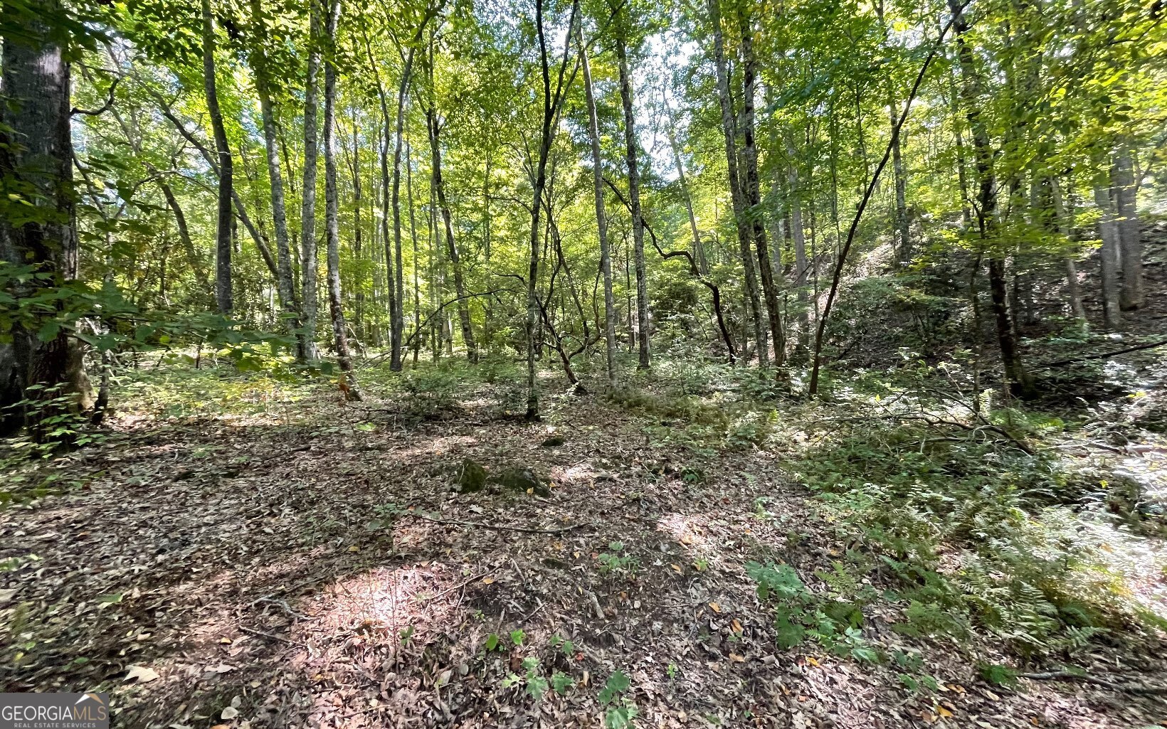 Lot 22 High Meadows Property Photo 2