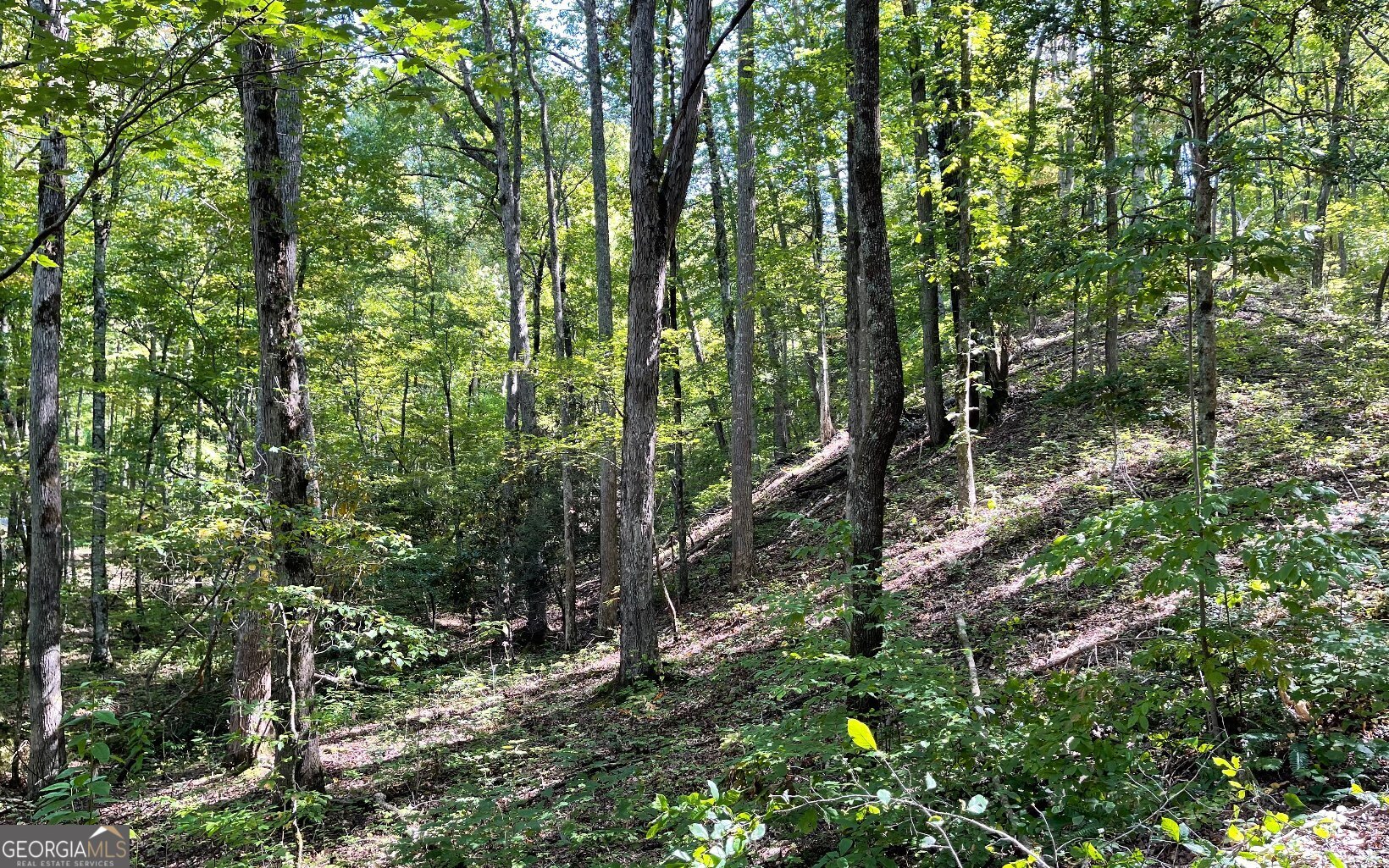 Lot 22 High Meadows Property Photo 3