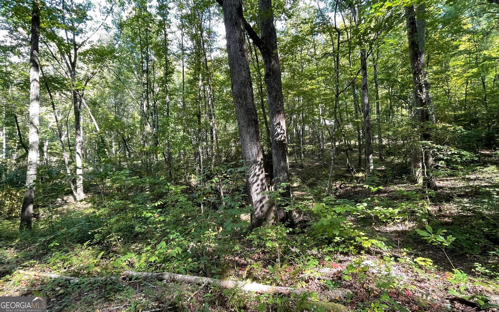 Lot 22 High Meadows Property Photo 4