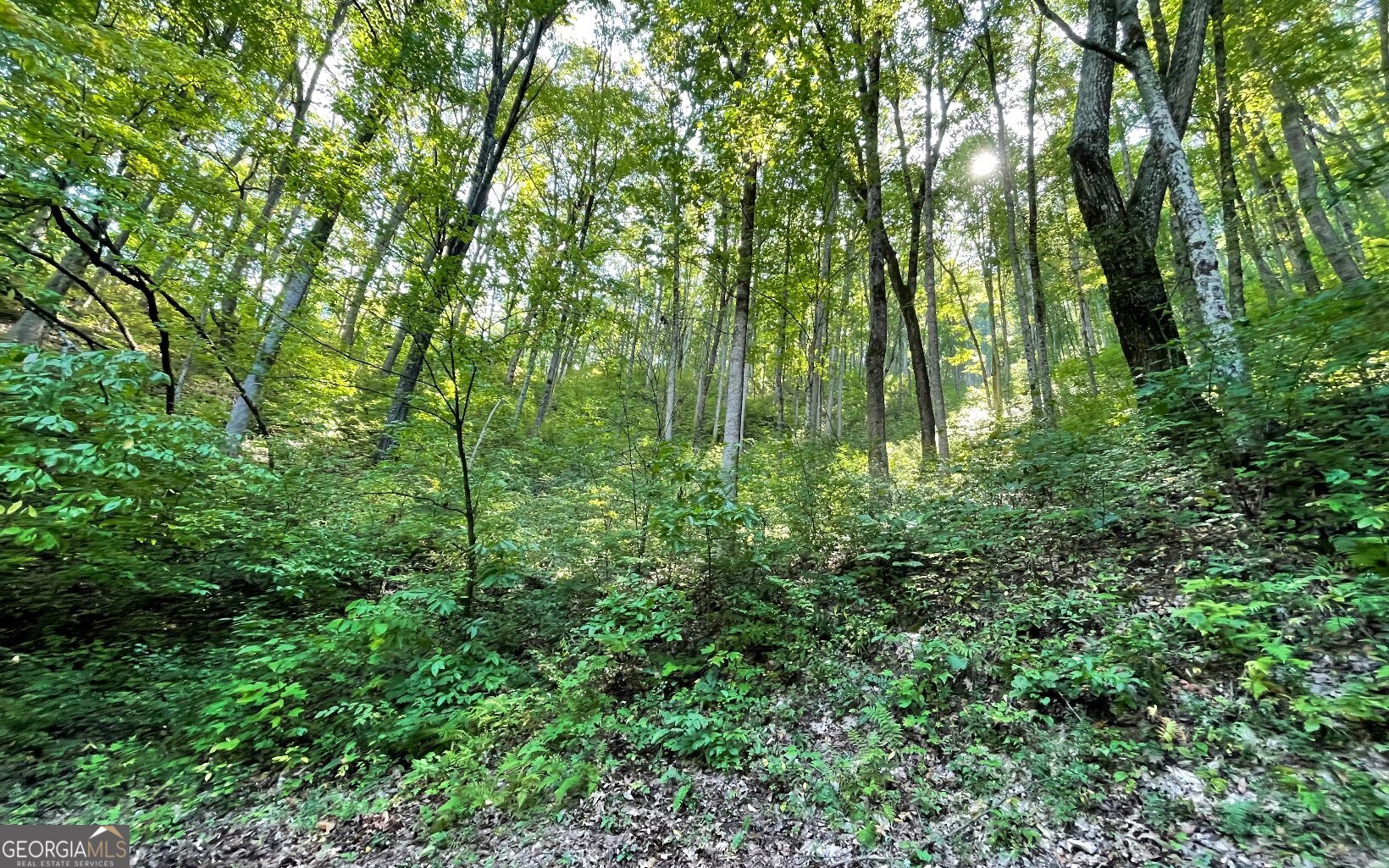 Lot 22 High Meadows Property Photo 5