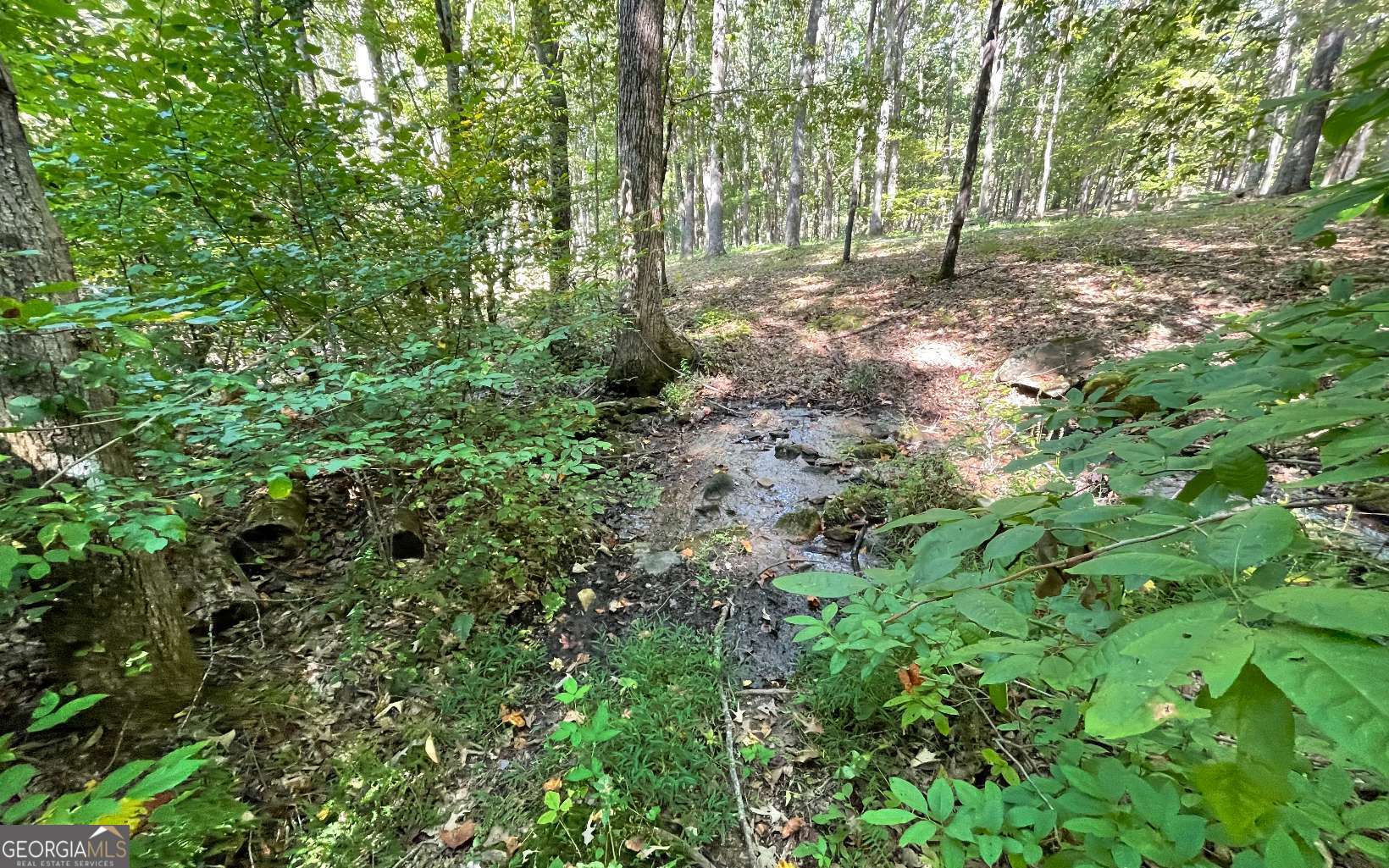Lot 22 High Meadows Property Photo 6