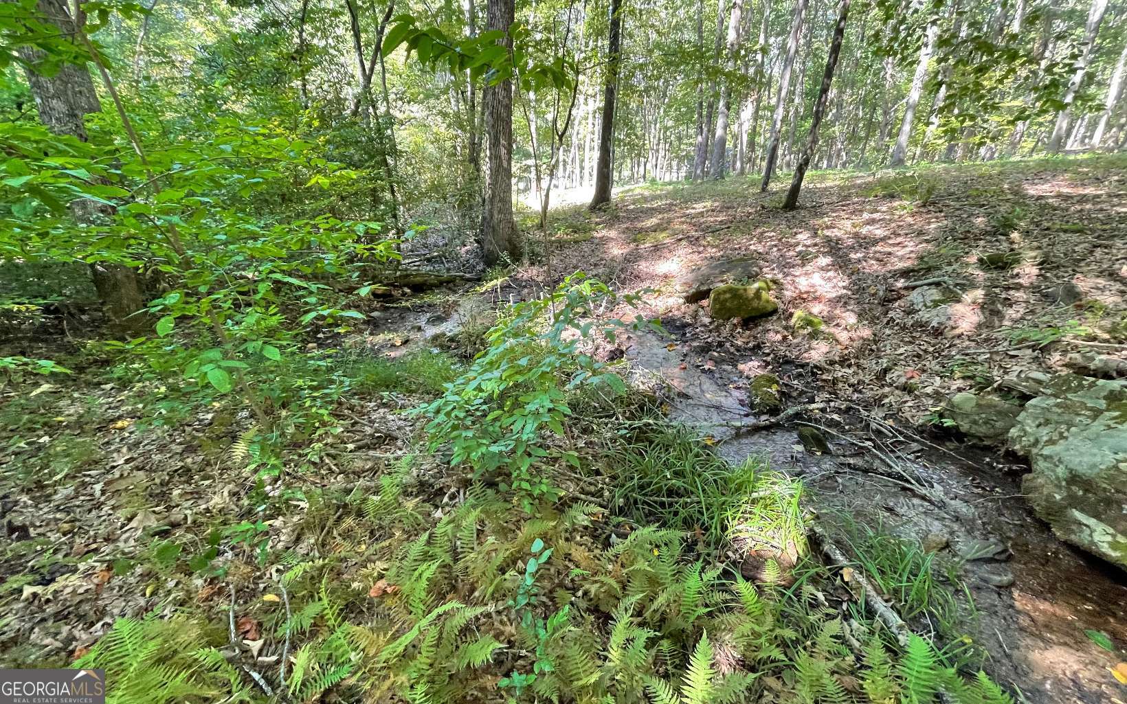 Lot 22 High Meadows Property Photo 7