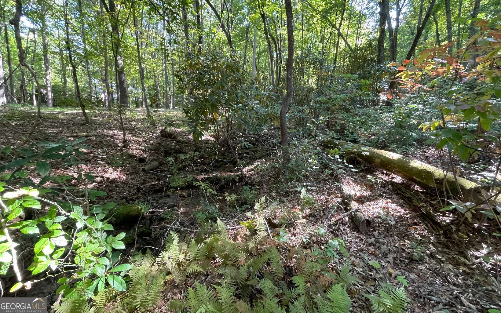Lot 22 High Meadows Property Photo 8