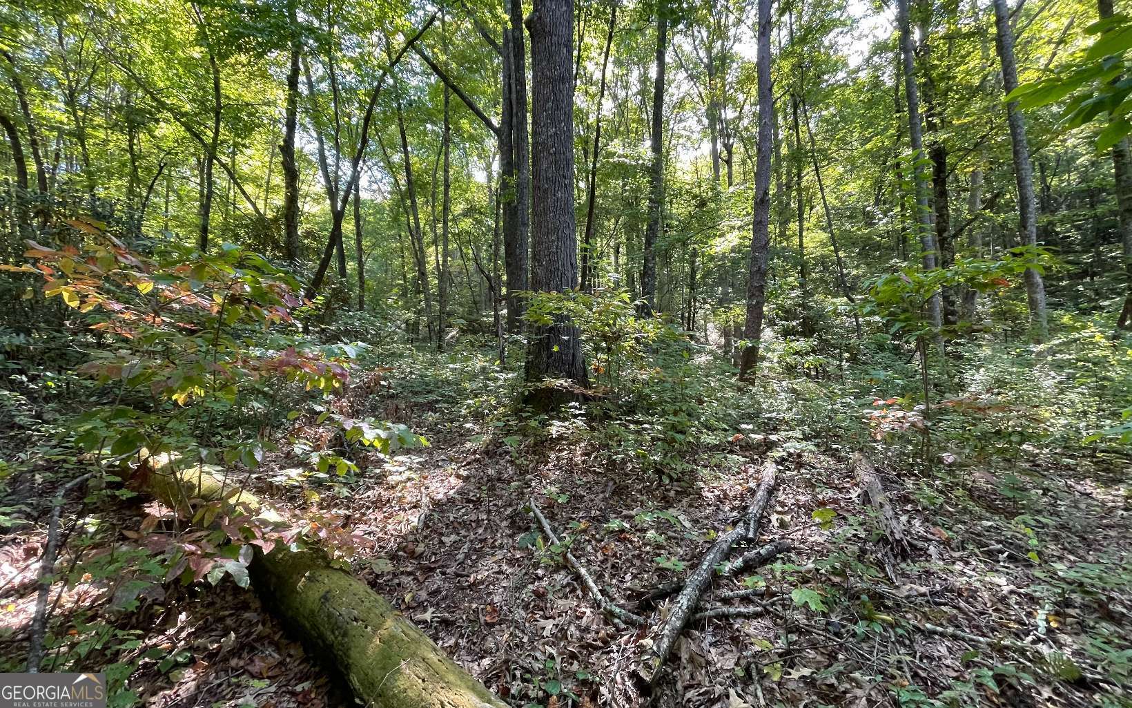 Lot 22 High Meadows Property Photo 9
