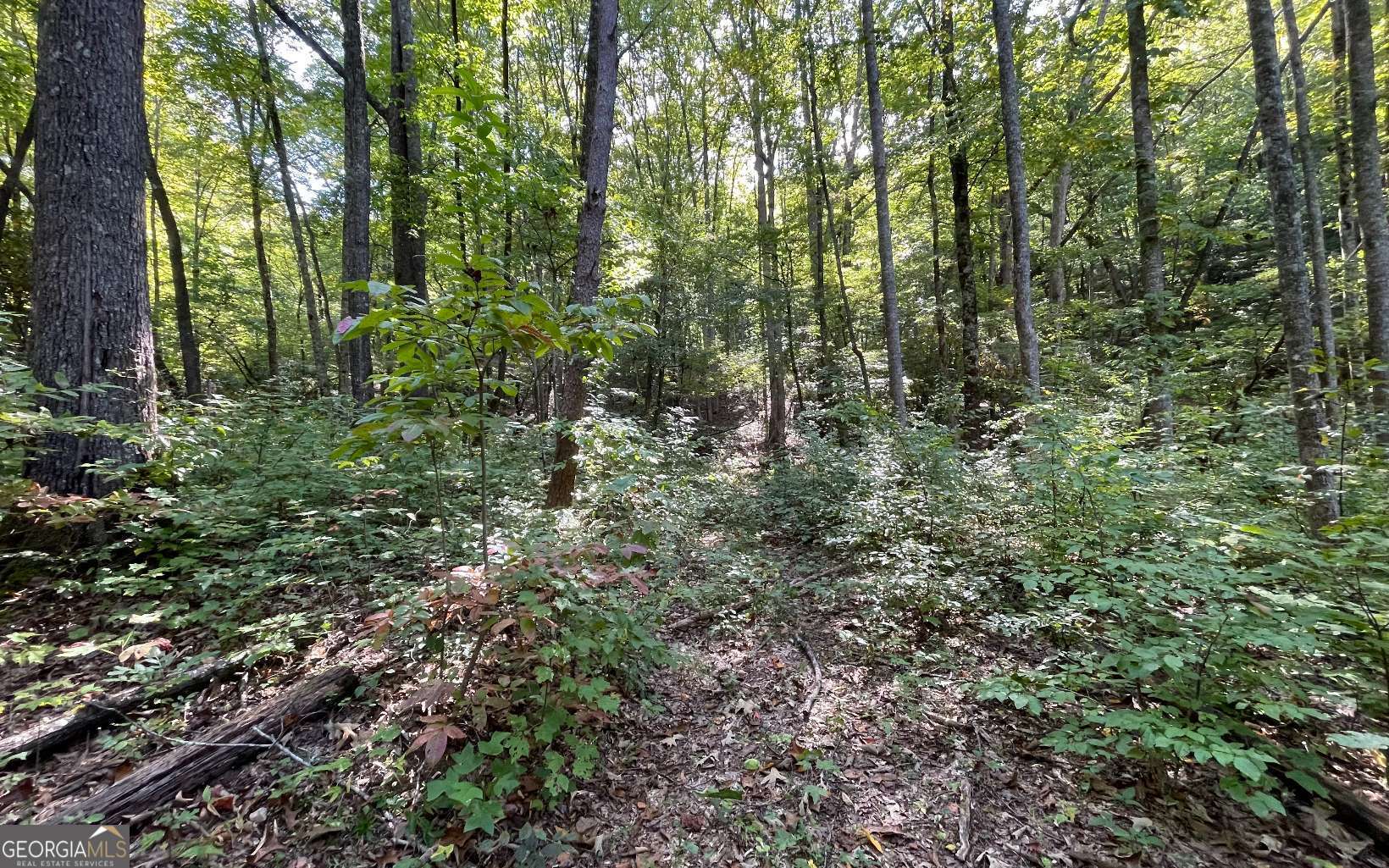 Lot 22 High Meadows Property Photo 10