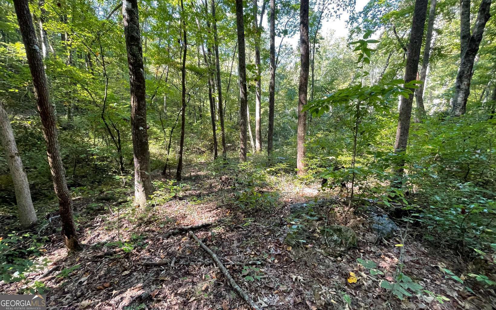 Lot 22 High Meadows Property Photo 11