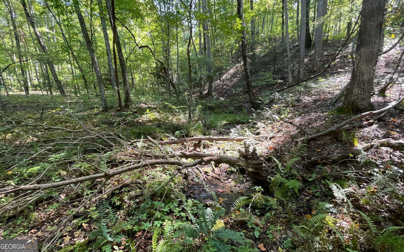 Lot 22 High Meadows Property Photo 12
