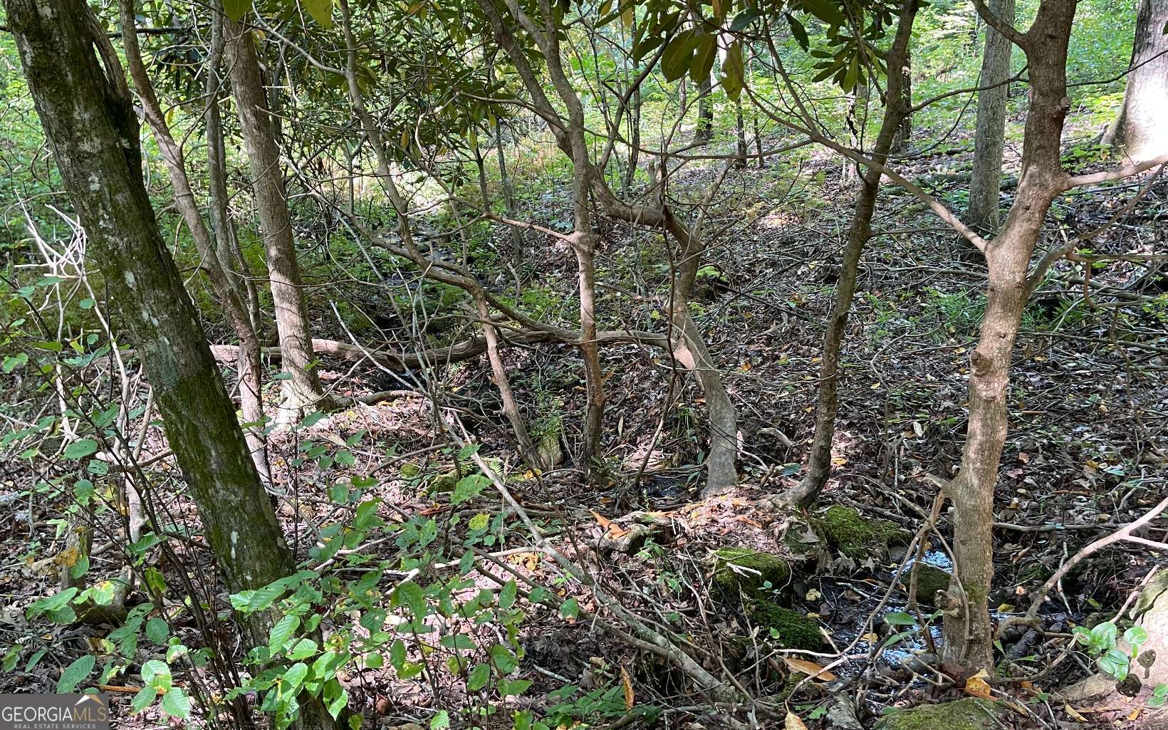 Lot 22 High Meadows Property Photo 13