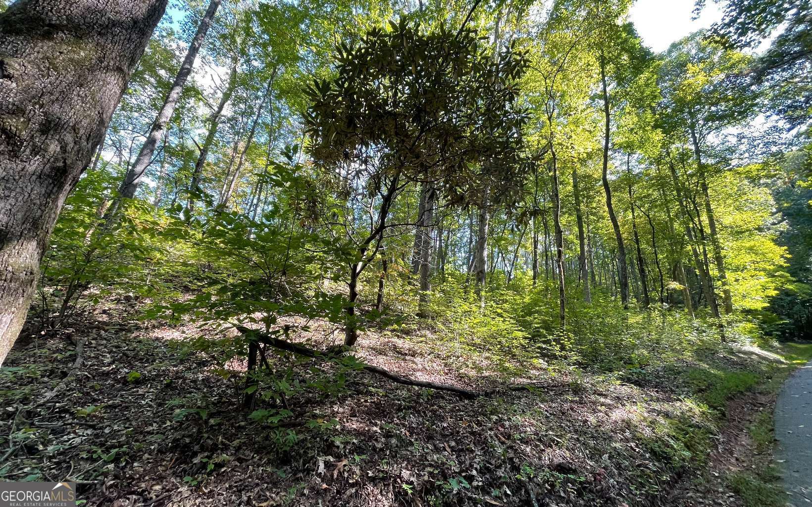 Lot 22 High Meadows Property Photo 14