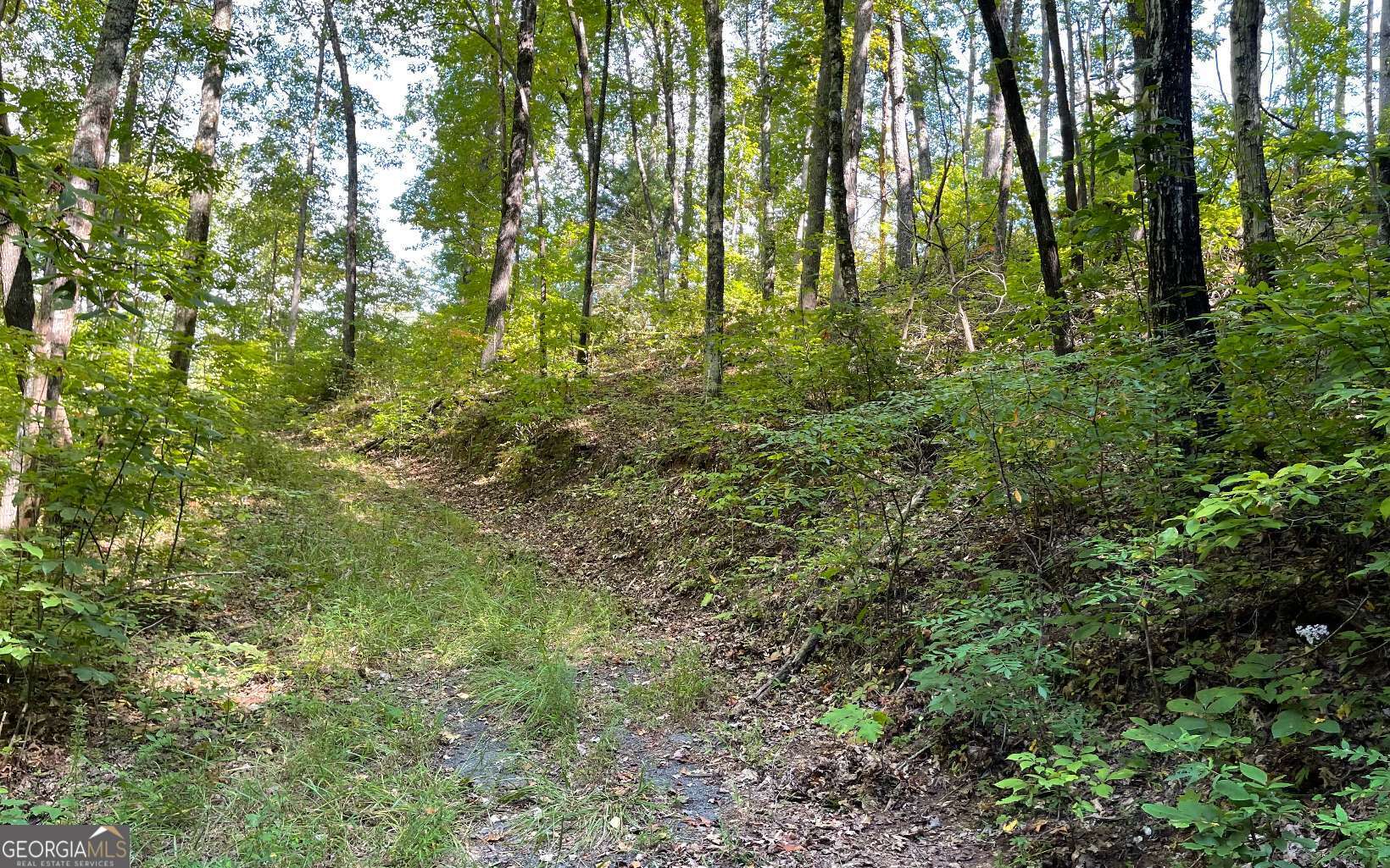 Lot 22 High Meadows Property Photo 15