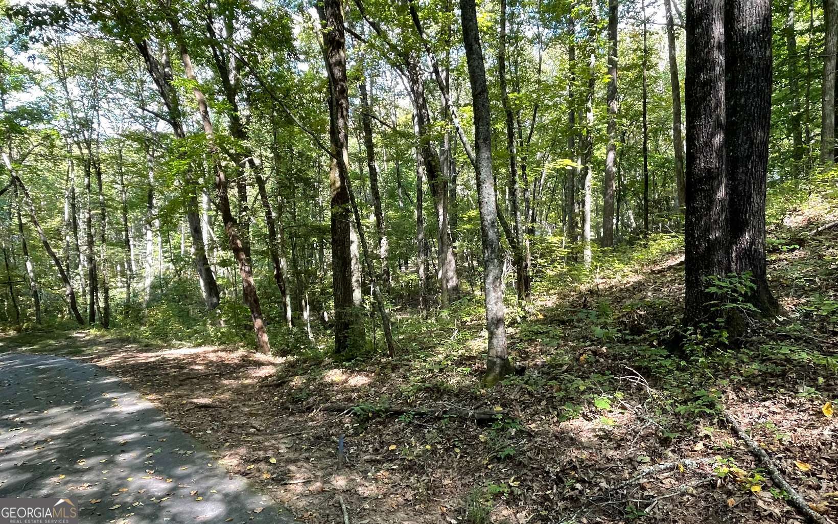 Lot 22 High Meadows Property Photo 16