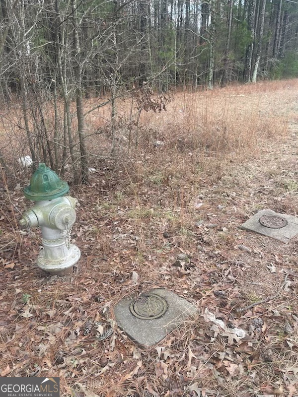 4000 Danielsville Road Property Photo 5