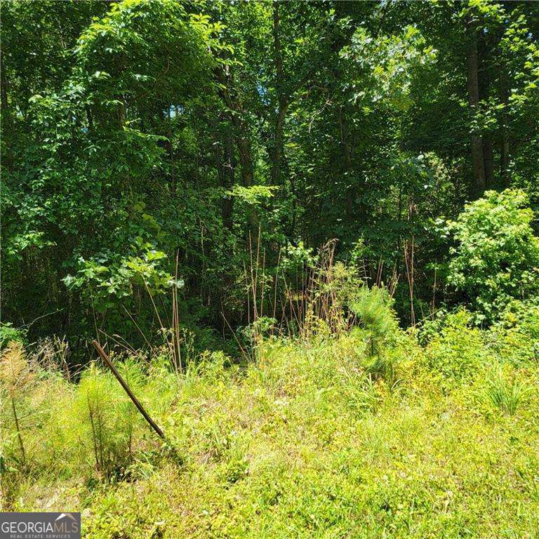 0 Spring Hill Drive Property Photo 2