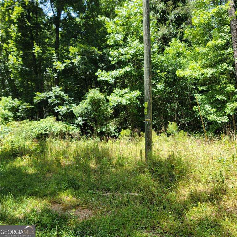0 Spring Hill Drive Property Photo 4