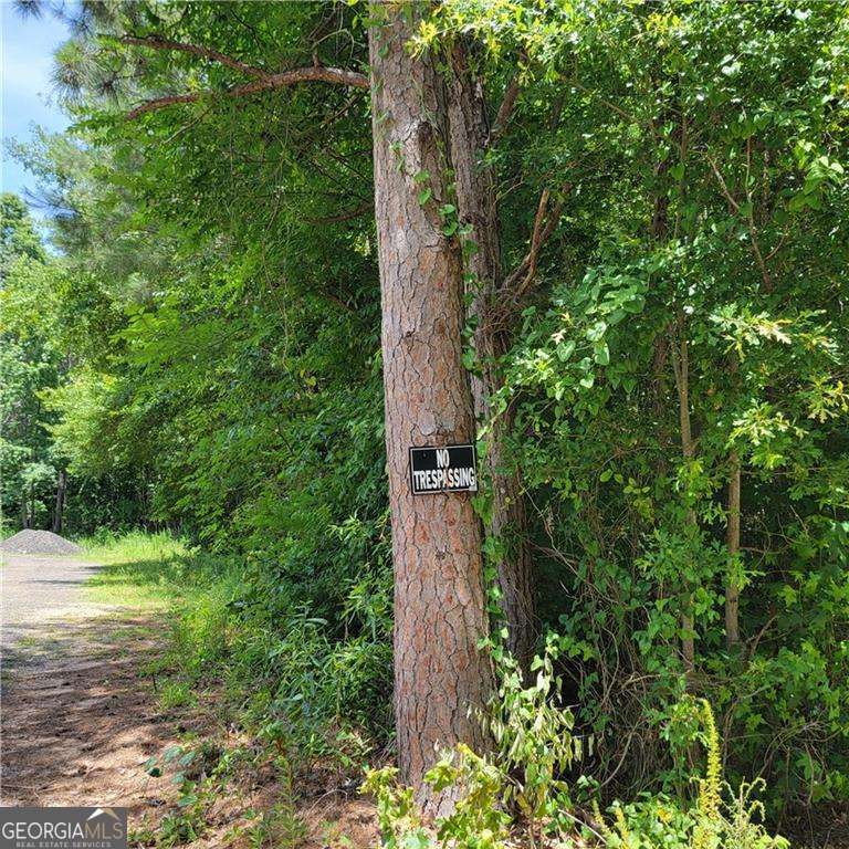 0 Spring Hill Drive Property Photo 7