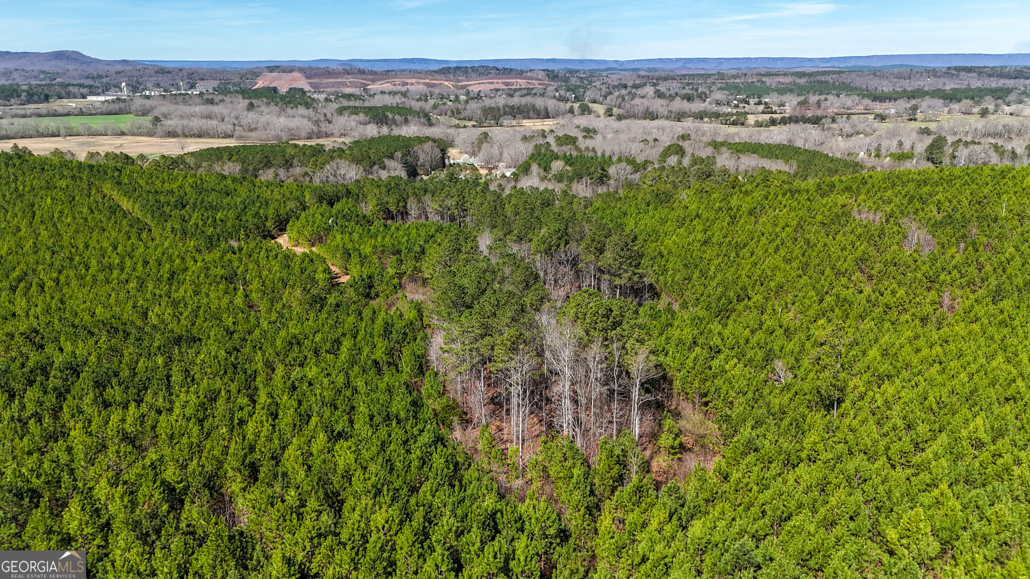 0 Highway 100 Property Photo 1