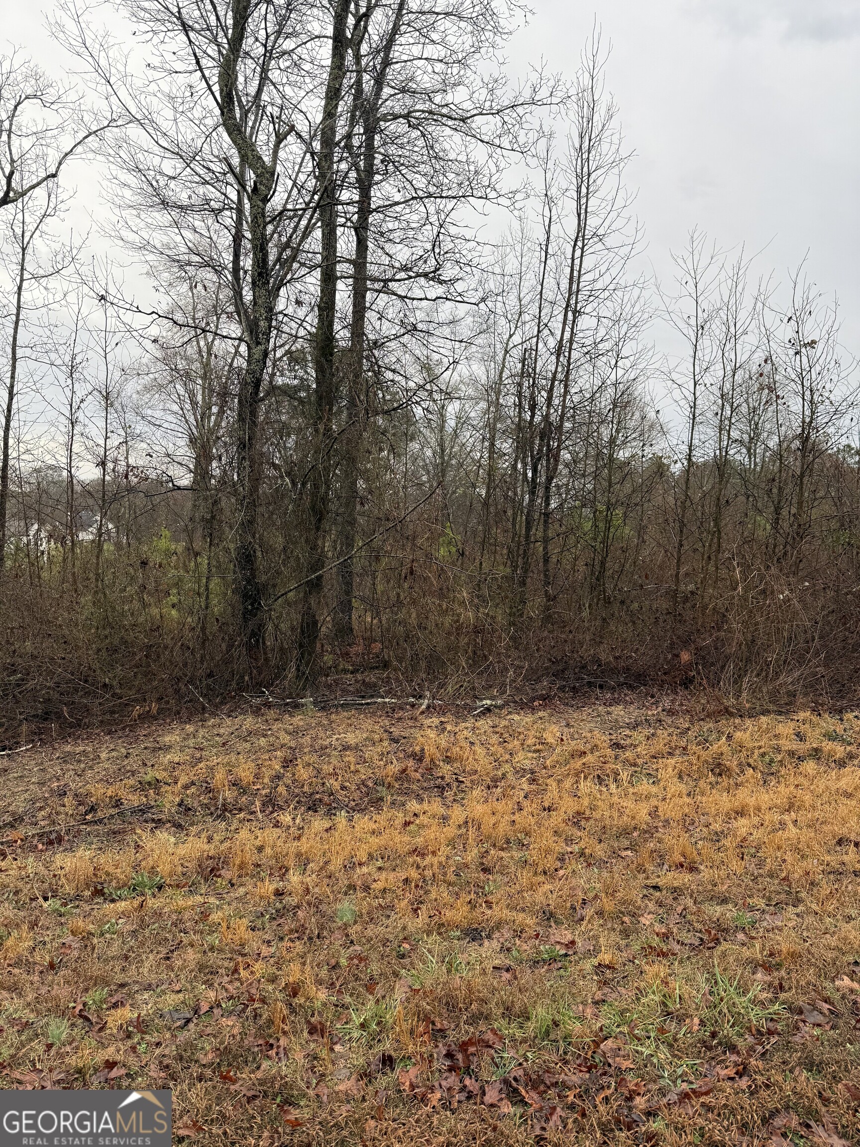 874 Forrester Cemetery Road Property Photo 1
