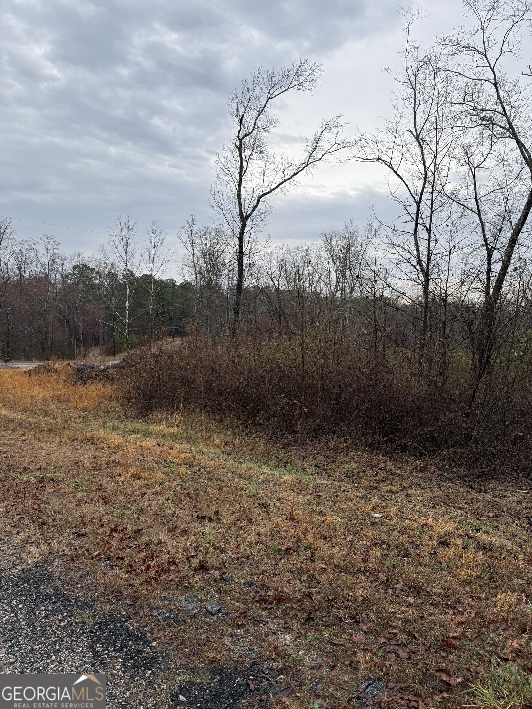 874 Forrester Cemetery Road Property Photo 2
