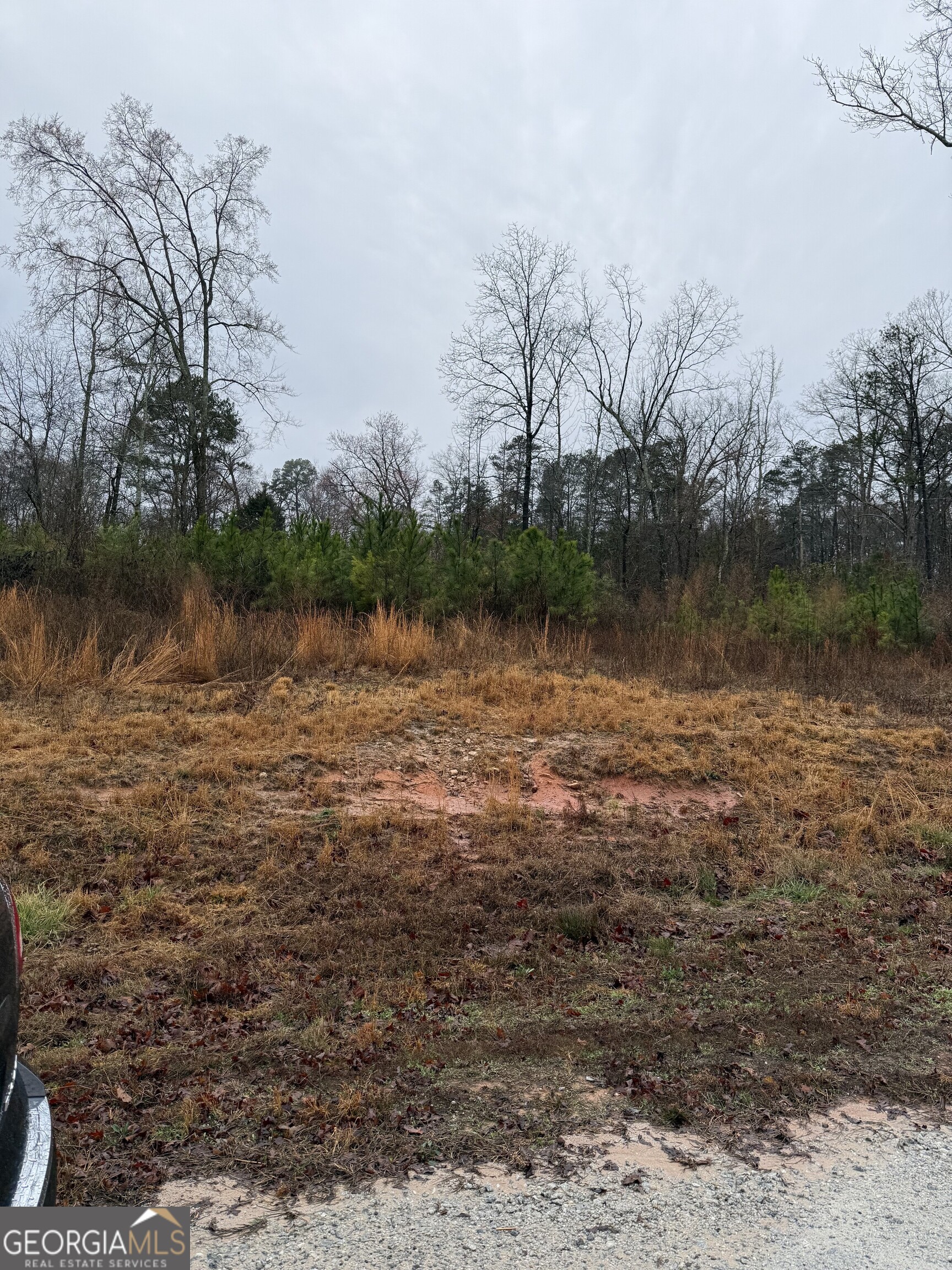 874 Forrester Cemetery Road Property Photo 3